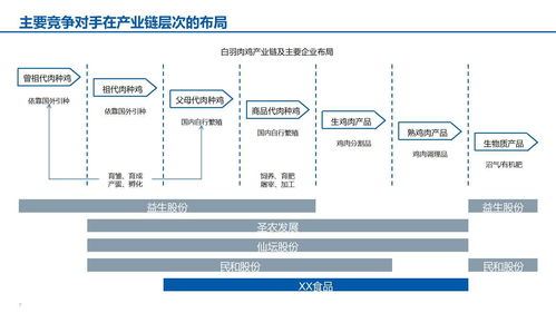 智能驅(qū)動，創(chuàng)新增長——XX食品智能制造與銷售維護(hù)一體化發(fā)展報(bào)告